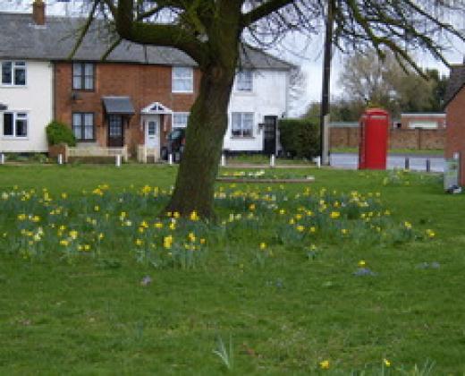 link to Local  History